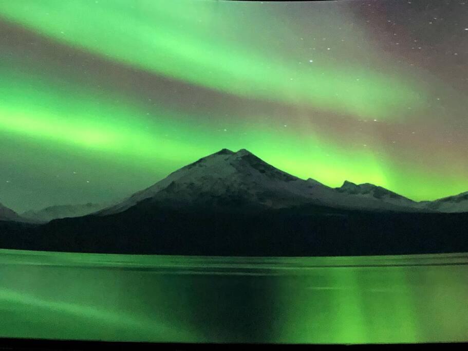 Northern Light * Tromsø