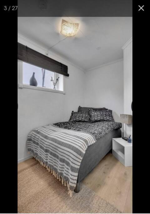 Northern Light Apartment