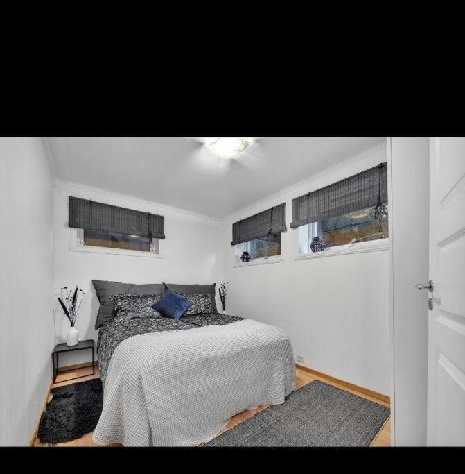 Northern Light Apartment *
